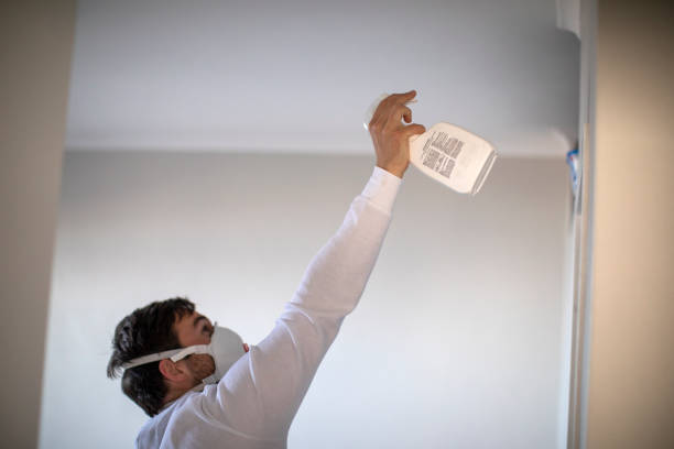 Home Mold Removal in Keene, TX