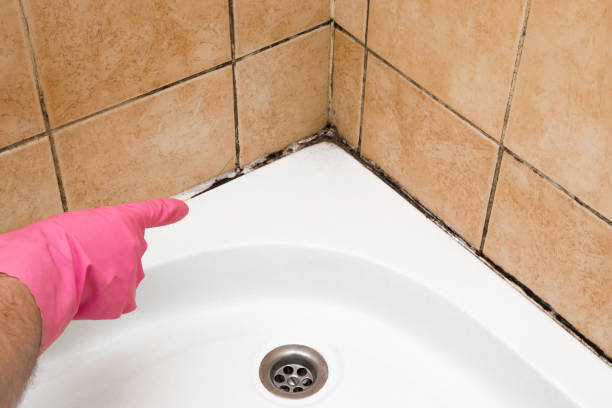 Best Mold Remediation  in Keene, TX